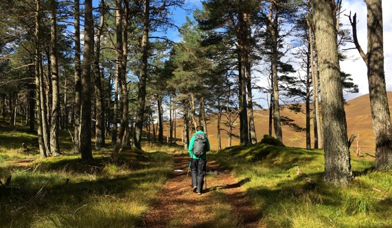 Scottish Highlands