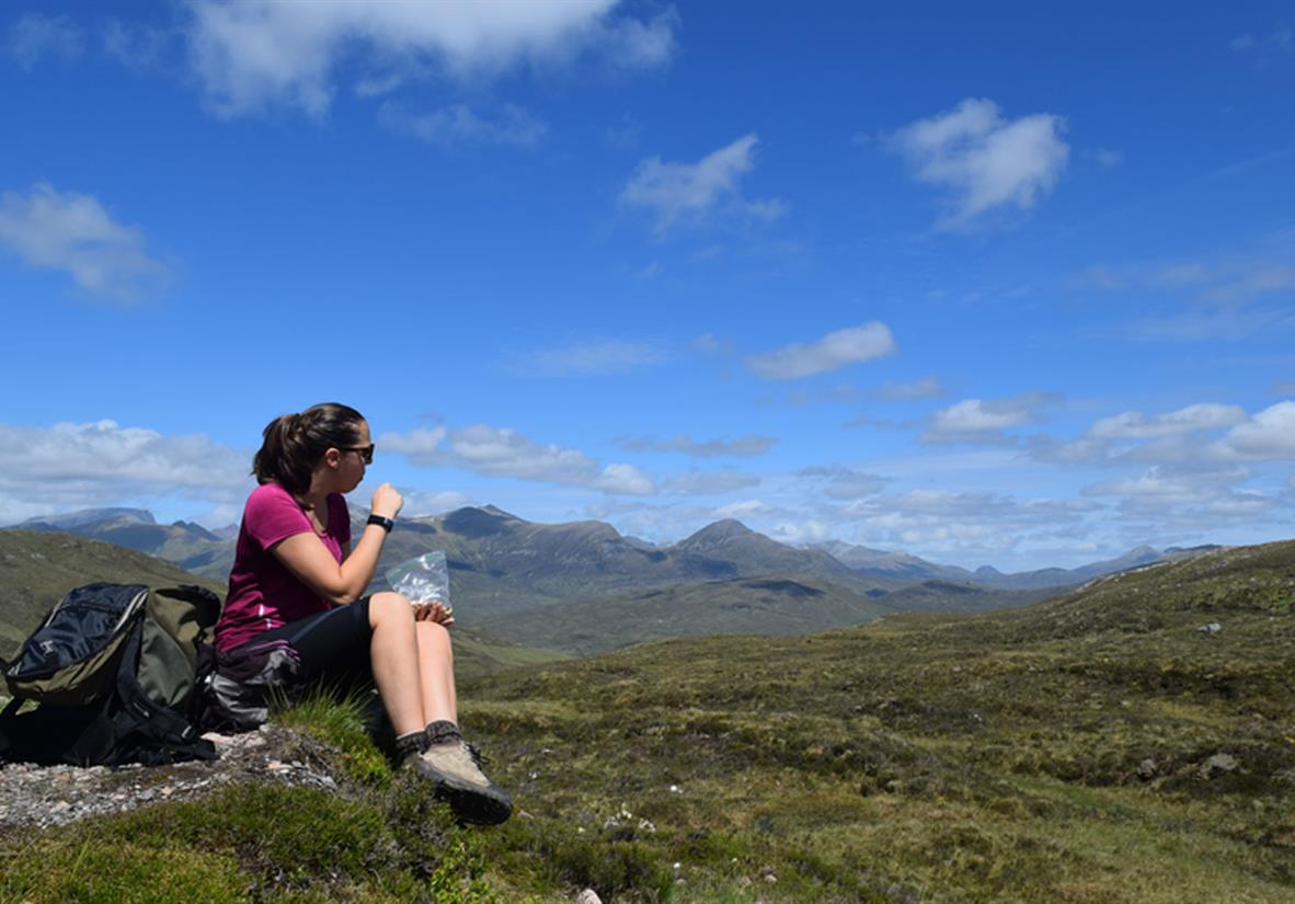 Highland picnic