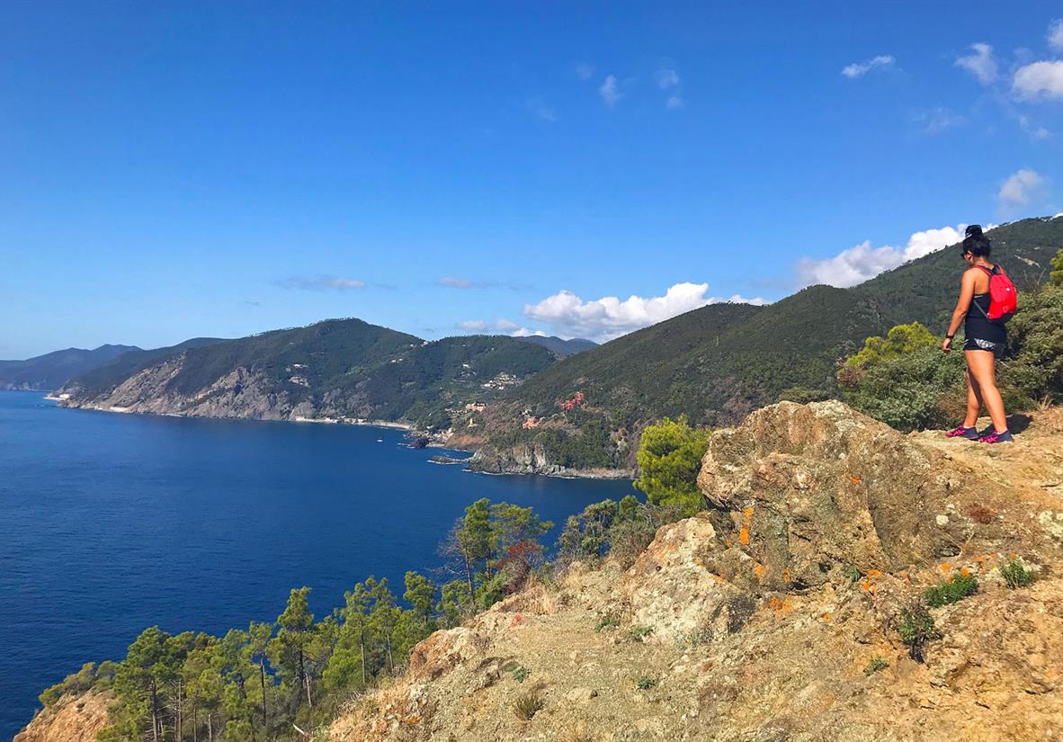 Looking north up the coast