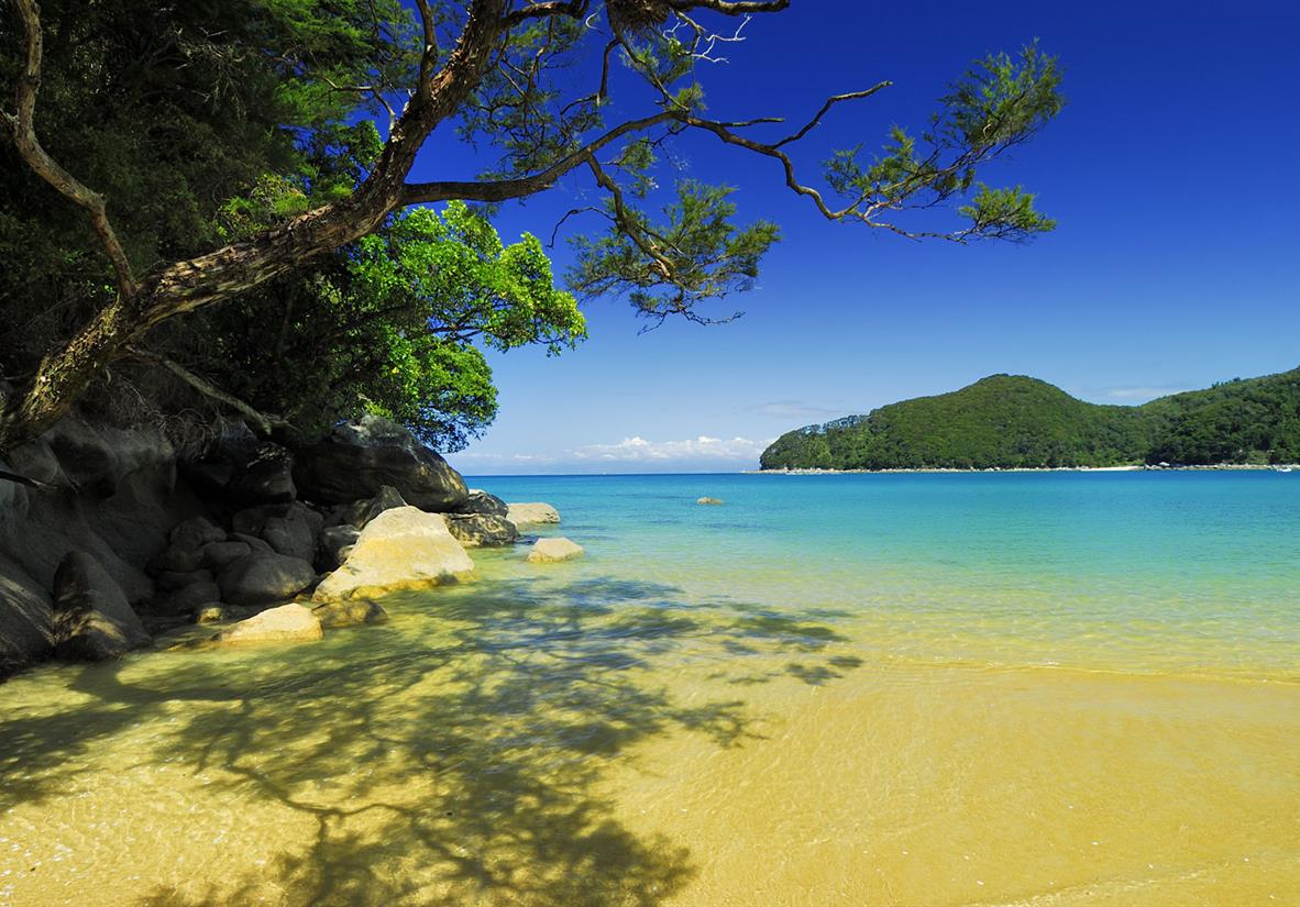 Amazing colours of nature on the Abel Tasman Track