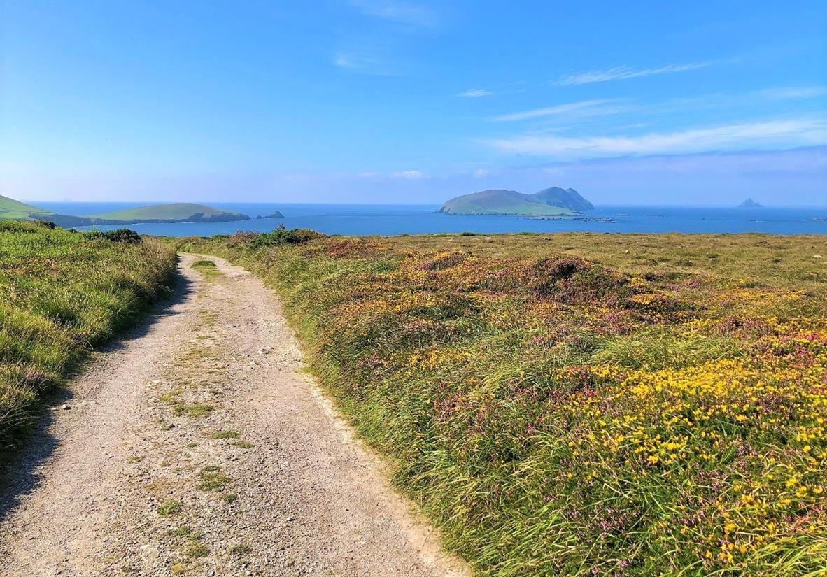 Dunquin to Ballydavid