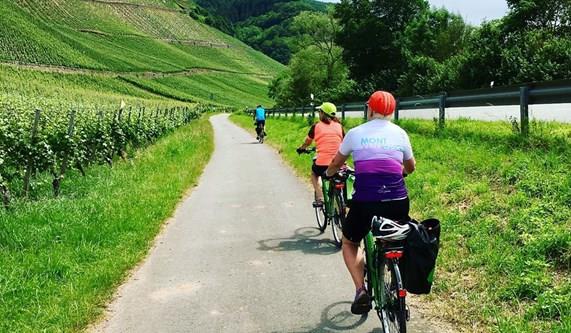 Cycling the Moselle