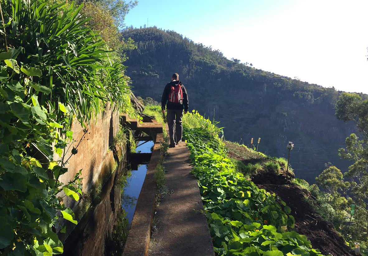 Unique Levada walking in Madeira