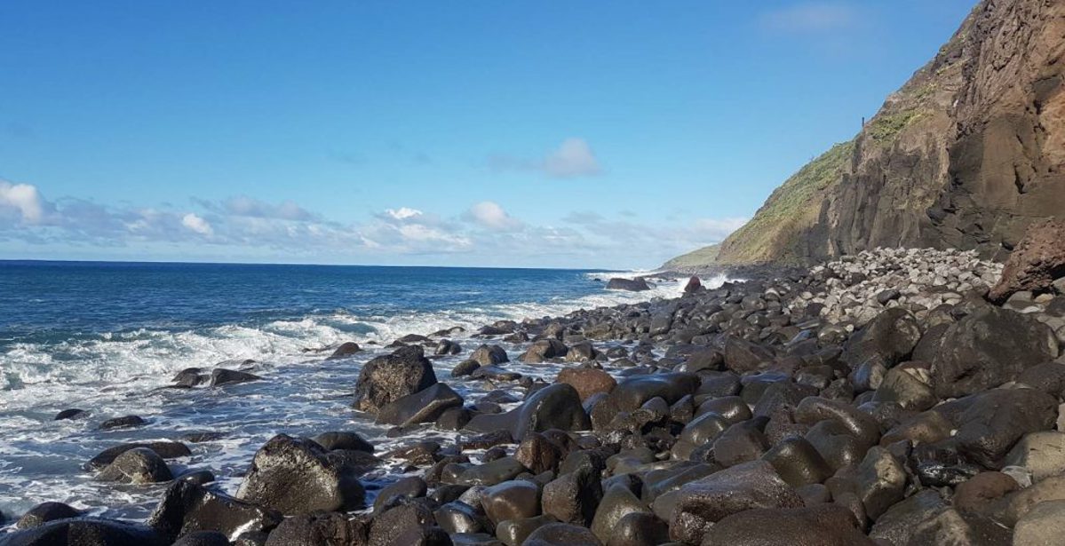 Sea and Sun on Madeira, the Flower Island