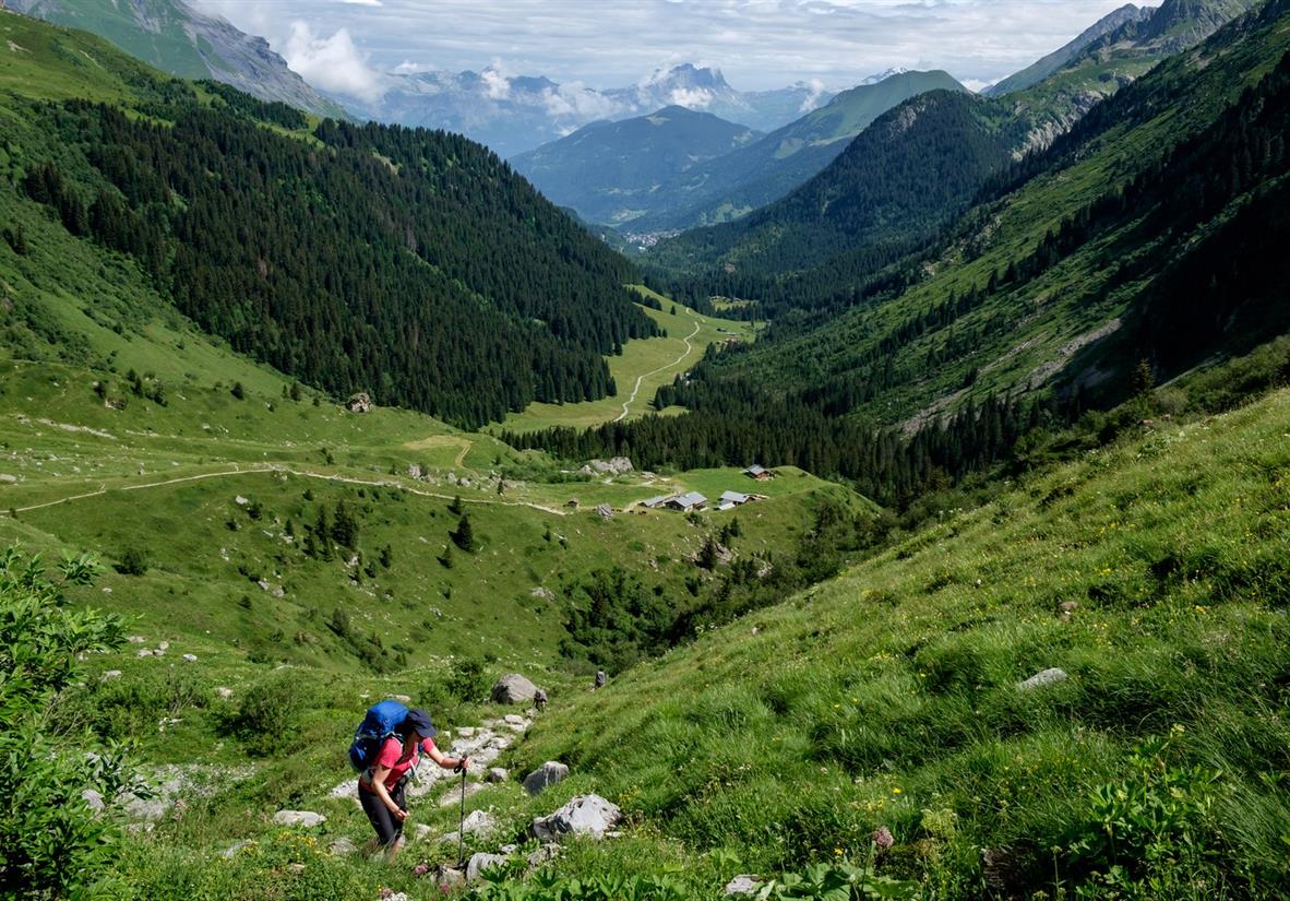 Walk through Alpine meadows