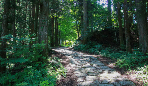 Nakasendo Trail