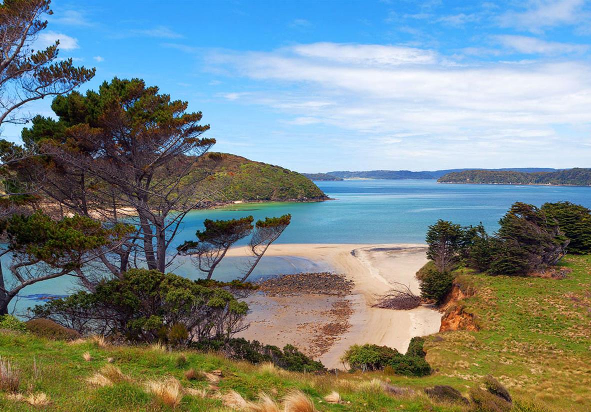 Views on Stewart Island