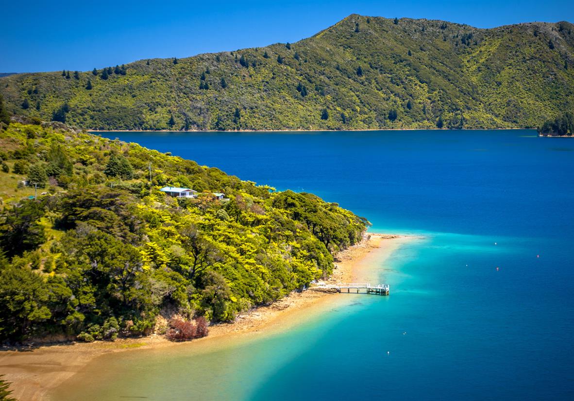 Green forest and blue water