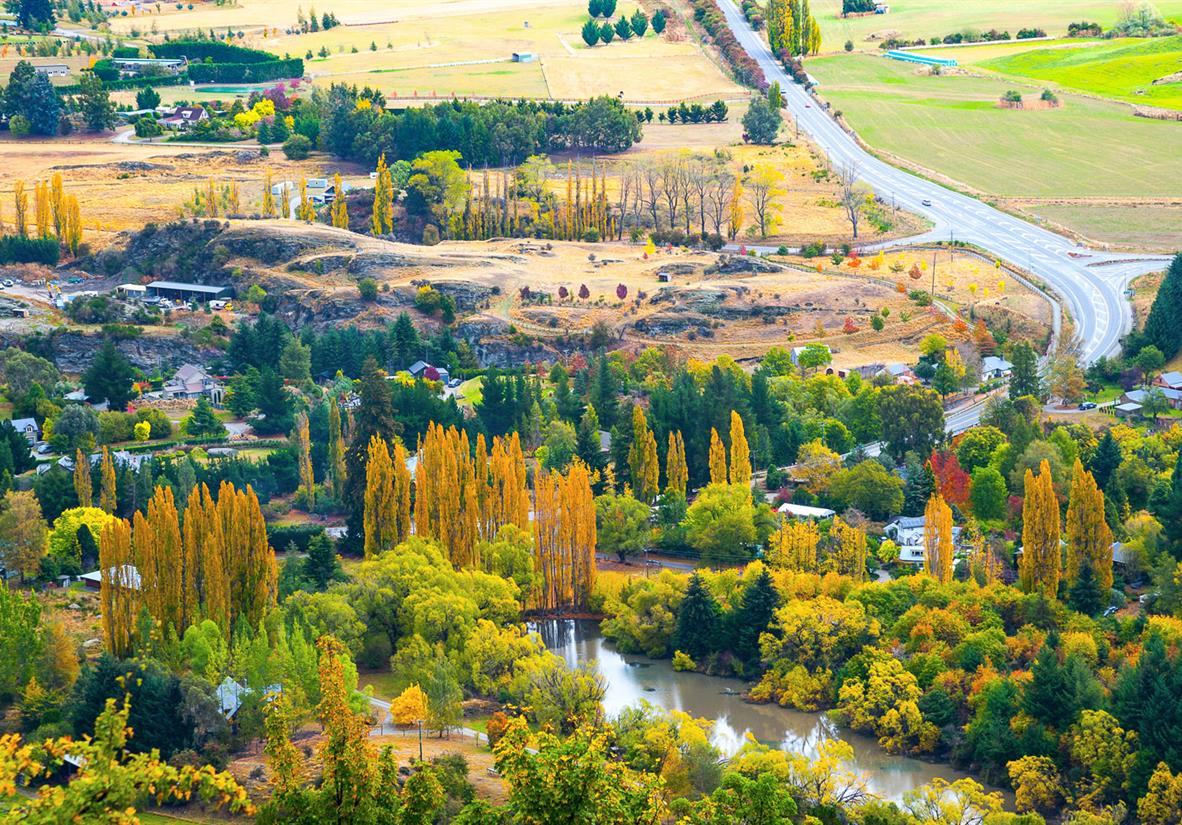 Autumn foliage in Arrowtown