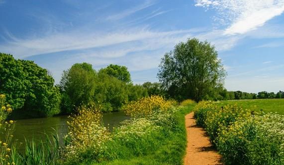 The Thames Path