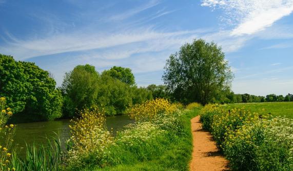 Thames Path