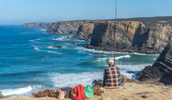 Rota Vicentina