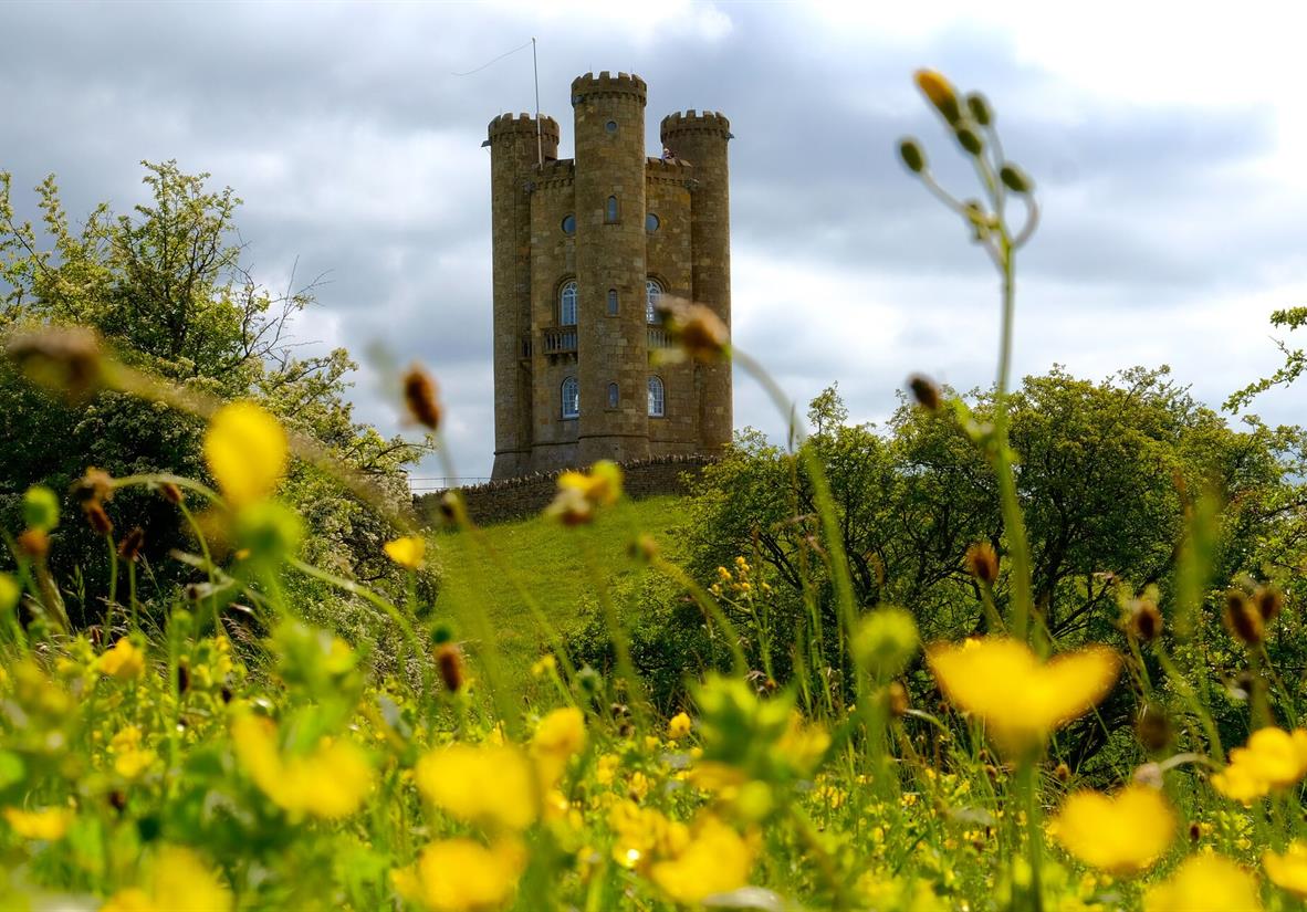 Broadway Tower in the buttercups