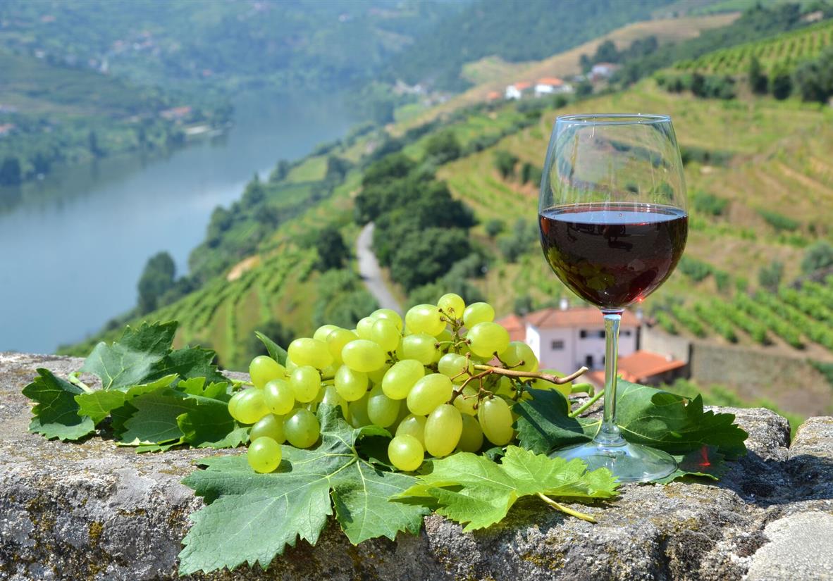 The Douro Valley is a wine lover&apos;s paradise