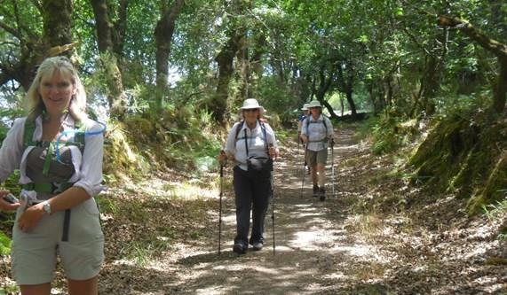 Camino Primitivo