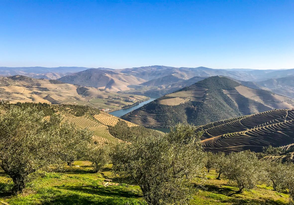 The Douro Valley