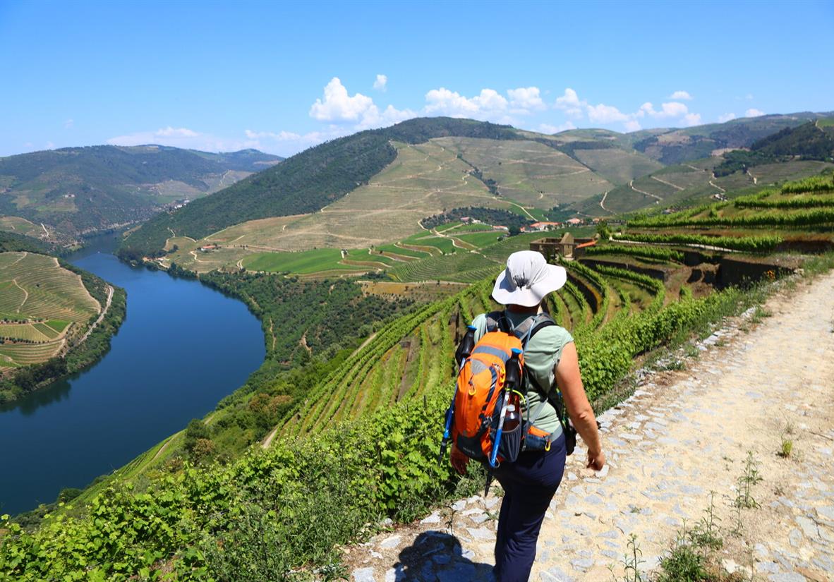 Walking in the Douro Valley