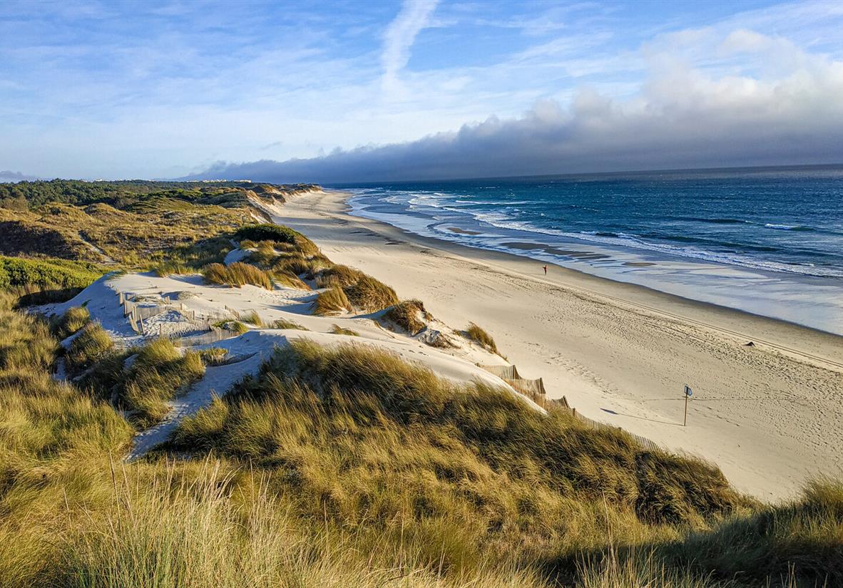 Stunning wild beaches