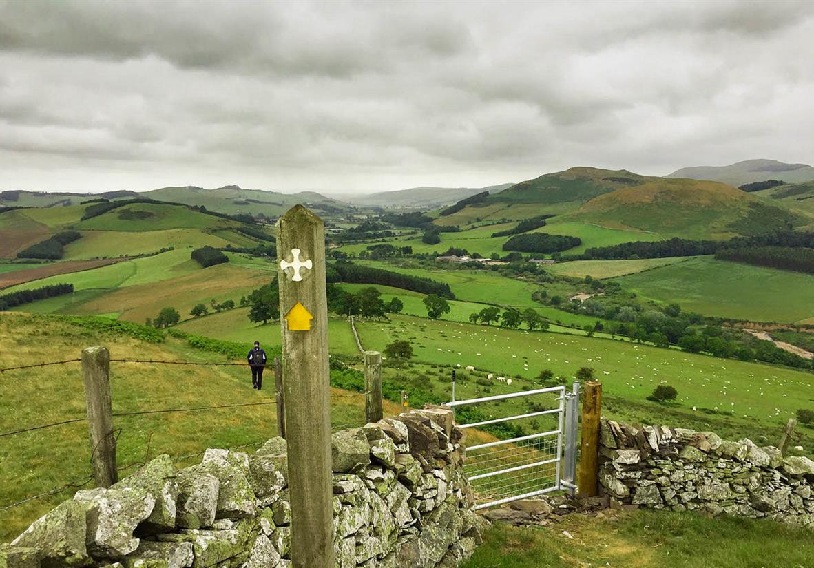 Follow the cross way-markers along the trail