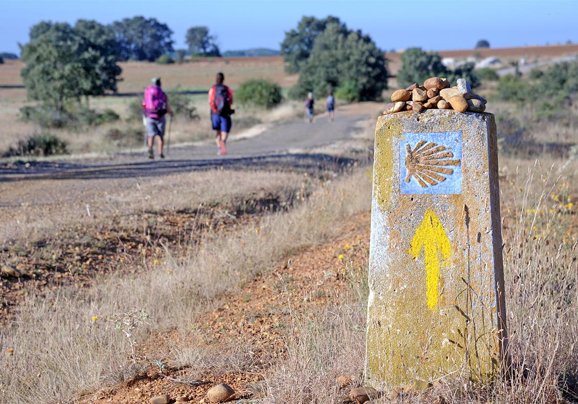 Camino signage always keeps you on track