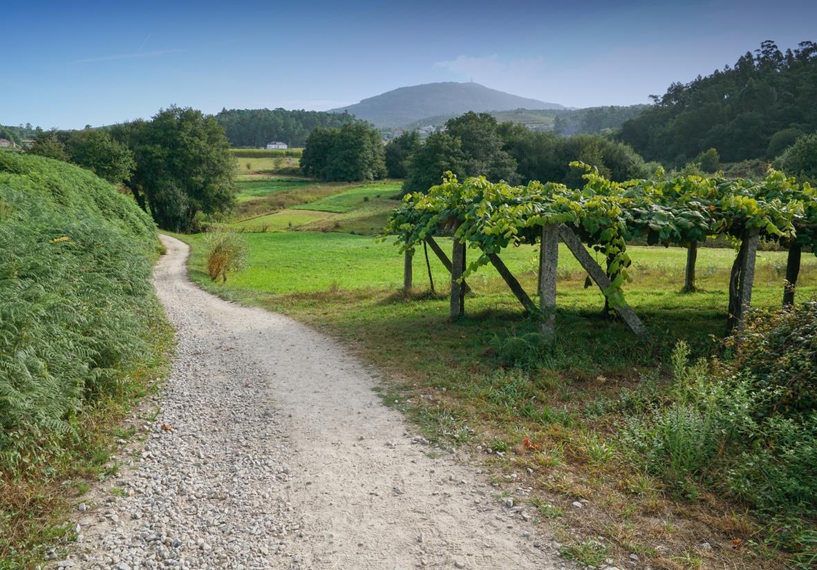 Rural inland trails of the Camino Coastal Way