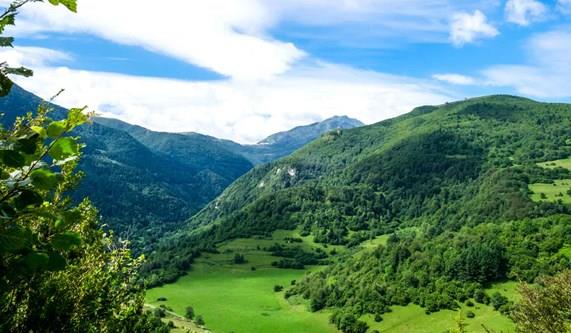 Pyrenees