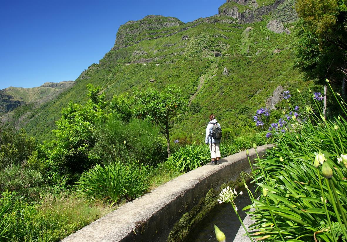 Self guided walking in Madeira - the Flower Island