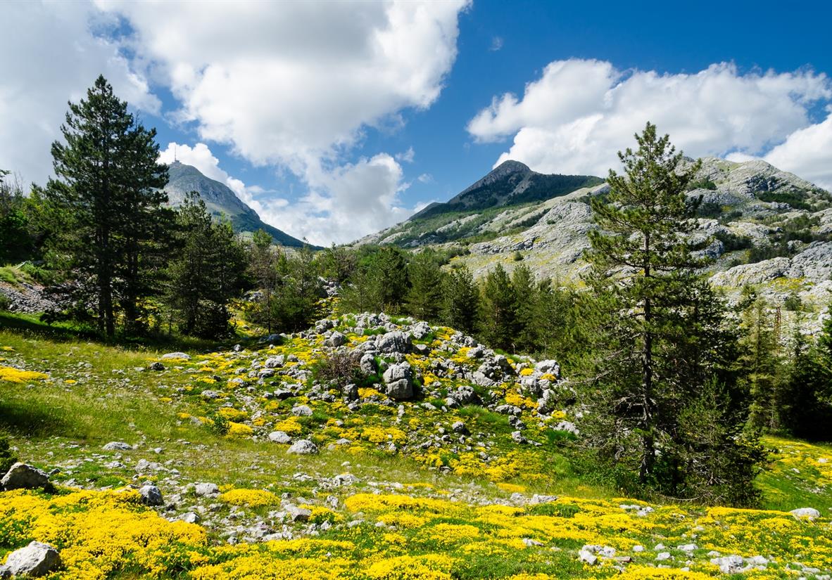 Stay for 2 nights in Lovcen National Park