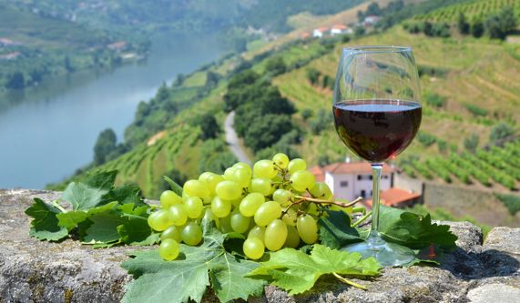 Douro Valley