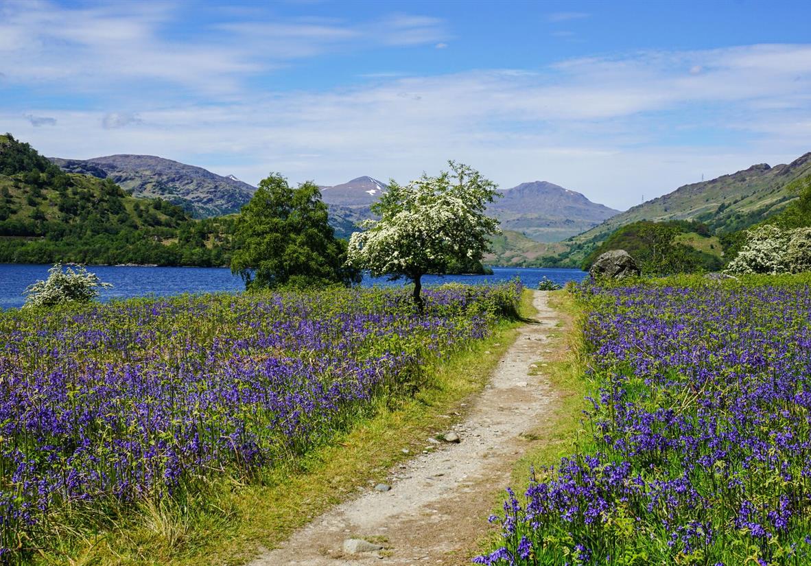 Walking the West Highland Way in spring