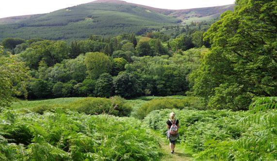 Wicklow Way Walking Holiday